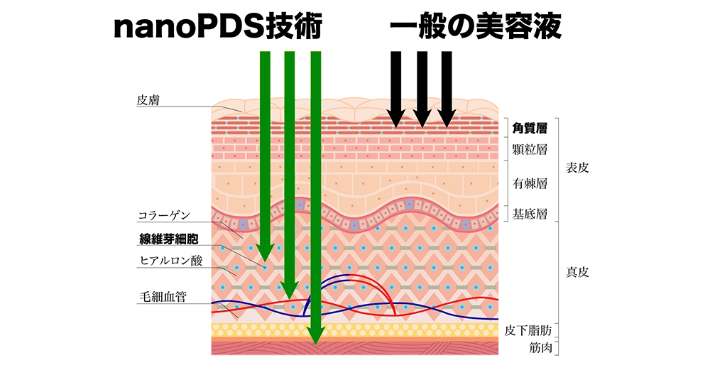 グルスゲル公式|ヒト幹細胞×nanoPDS技術のフェムケア・オムケアジェル